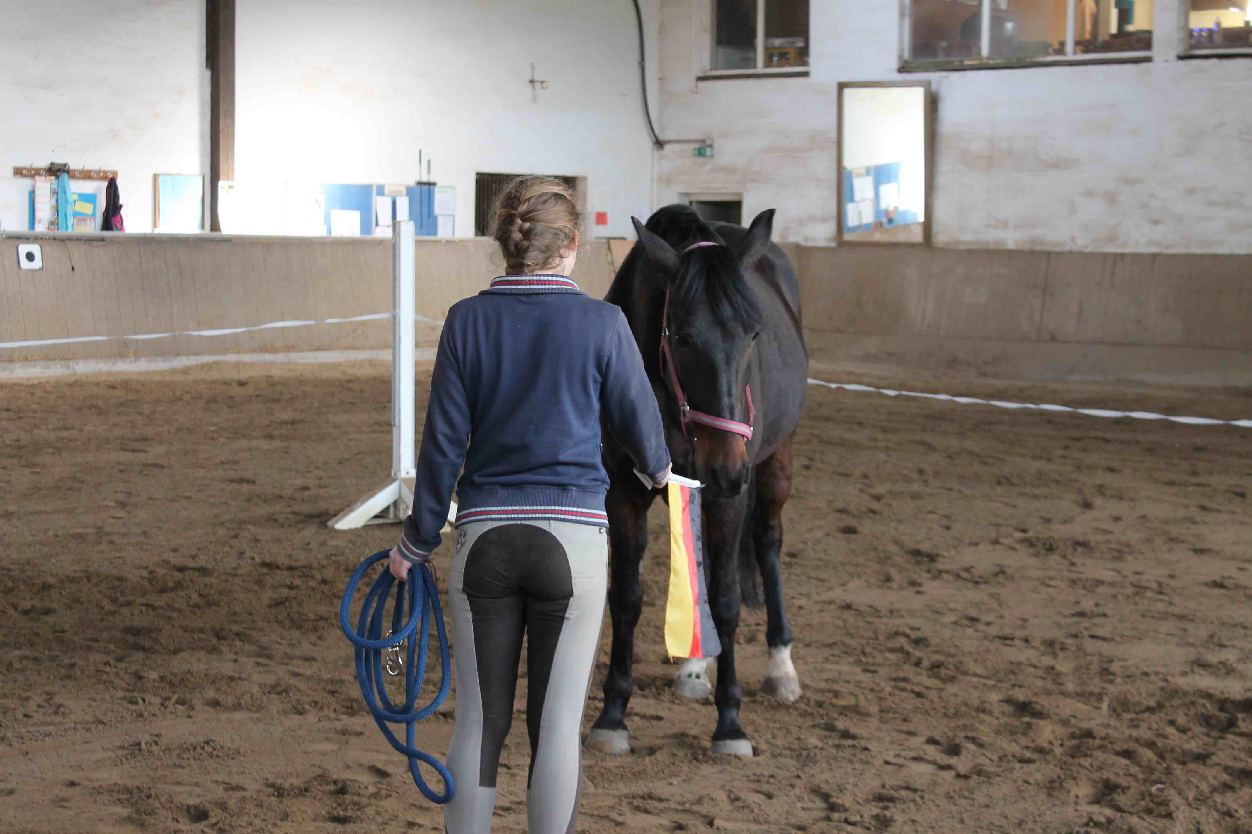 Horse Based Training